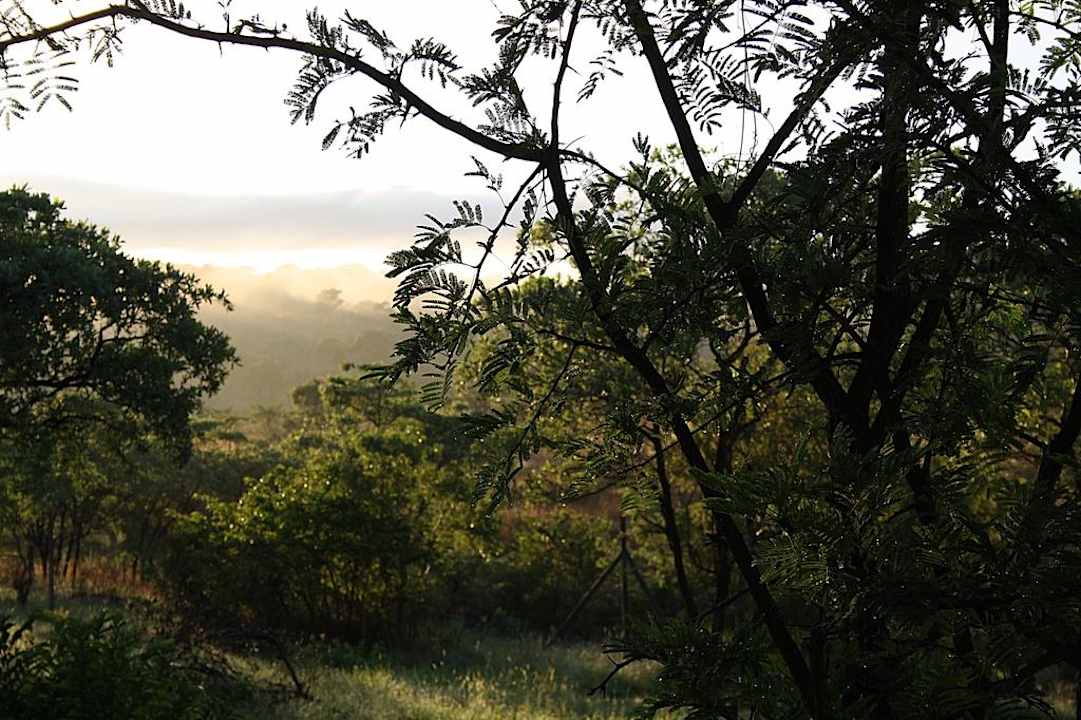 Morgenstimmung Nkambeni Tented Lodge