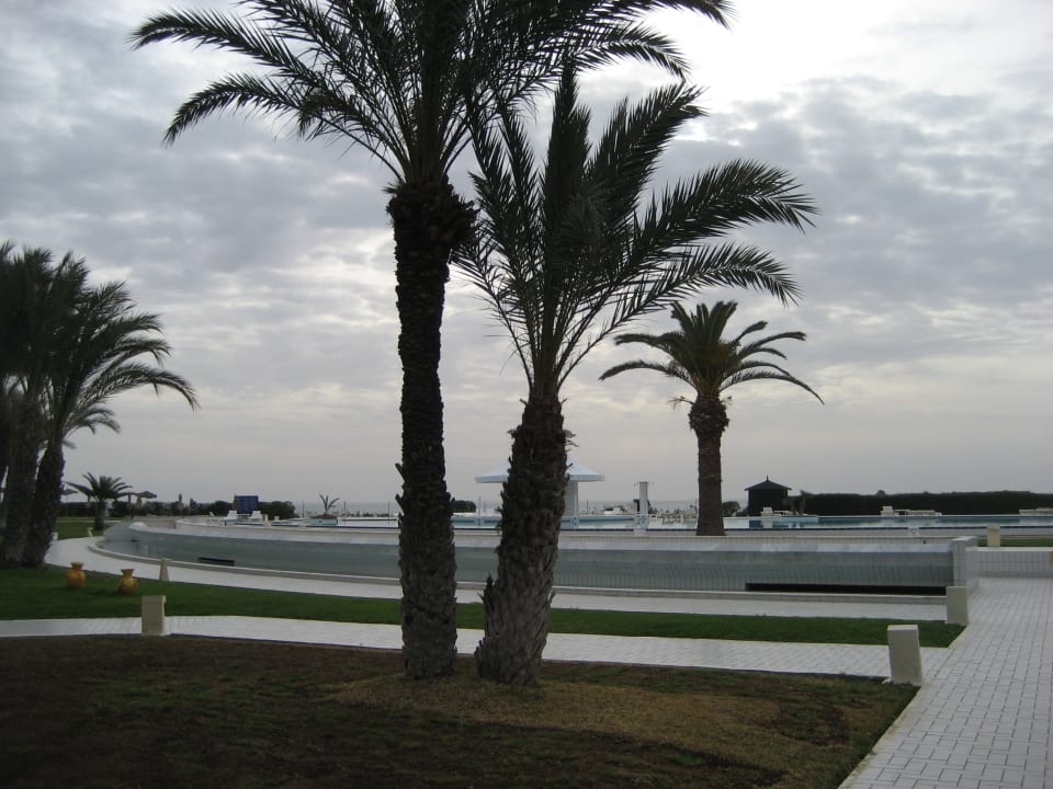 Ausblick Iberostar Waves Averroes