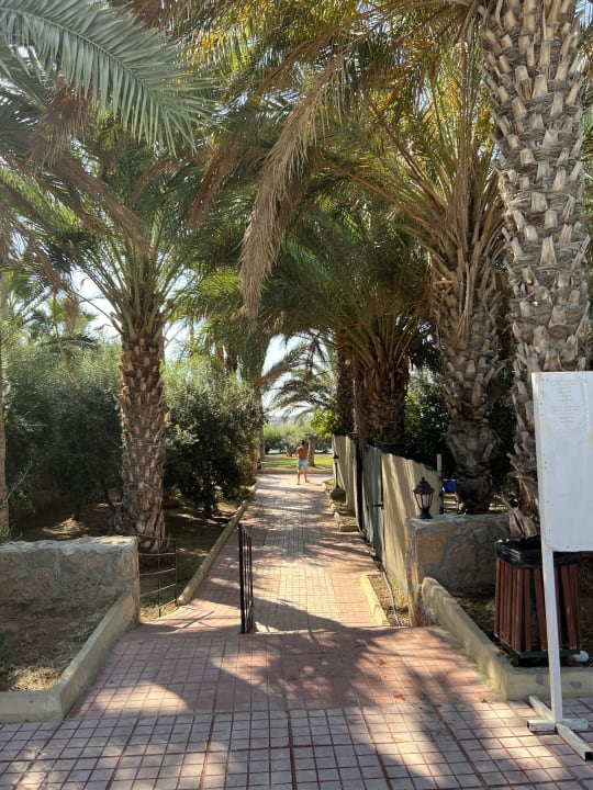 Gartenanlage Oscar Resort Hotel