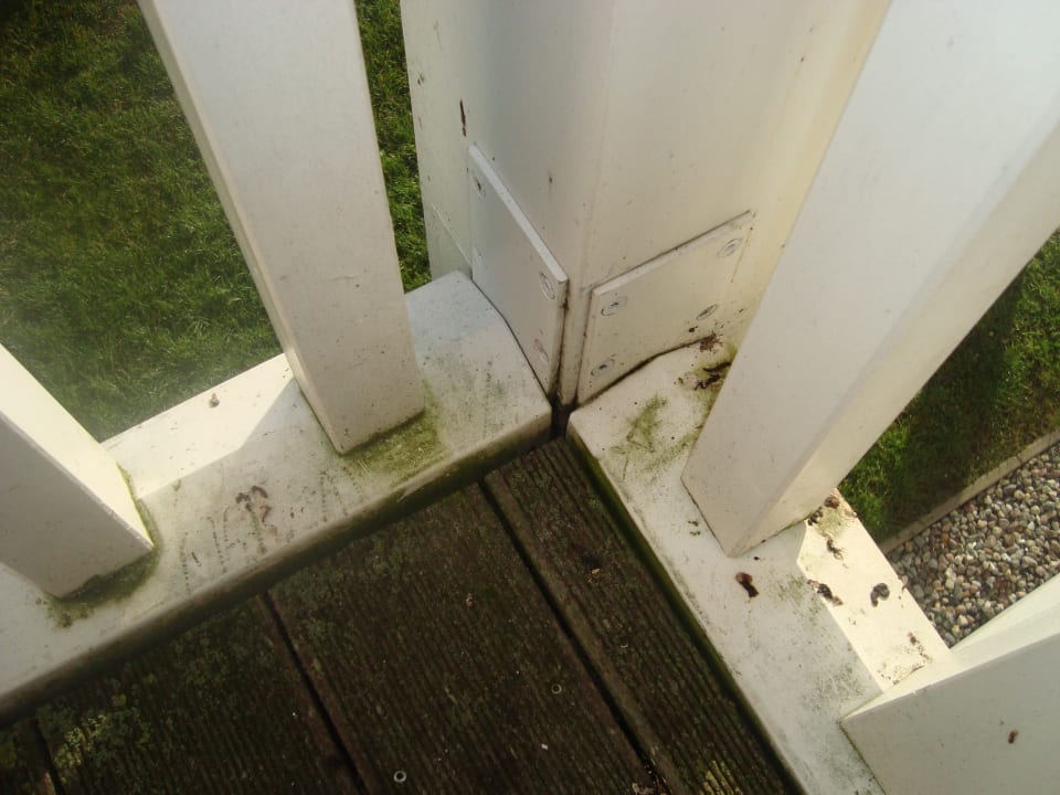 Außenansicht BEECH Resort Boltenhagen