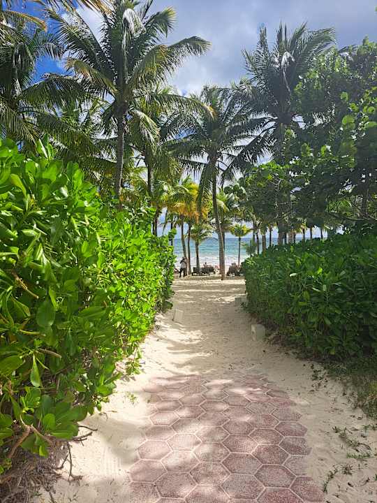 Strand Catalonia Playa Maroma