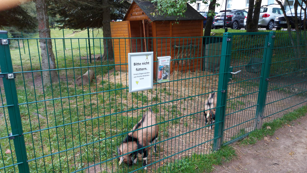 Sonstiges AHORN Waldhotel Altenberg