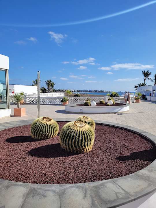 Gartenanlage Hotel Las Costas