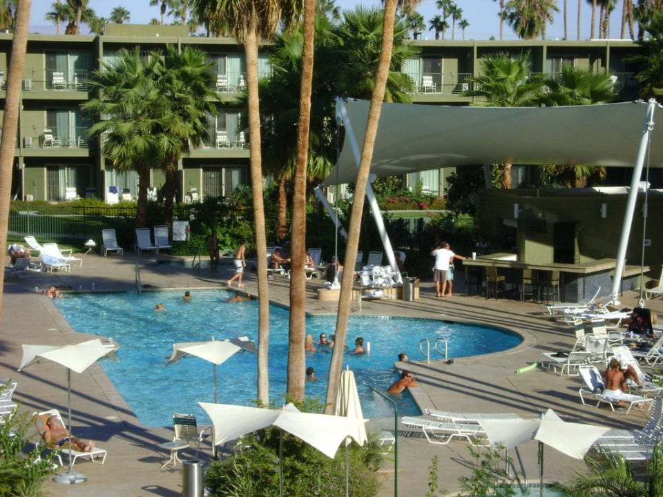 Pool Joie de Vivre Hotel The Saguaro Palm Springs
