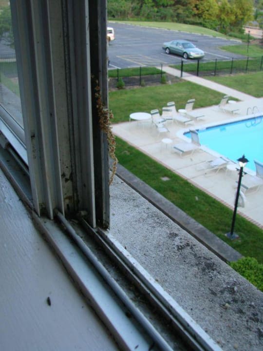 Fensterbank Radisson Penn Harris Hotel & Convention Center