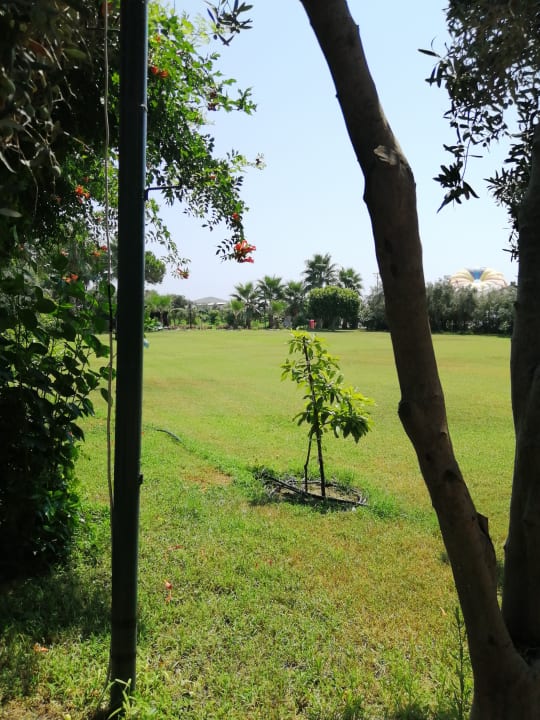 Gartenanlage MC Arancia Resort