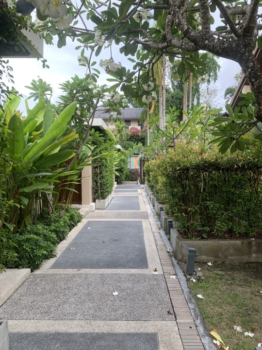 Gartenanlage Bandara Resort & Spa Samui