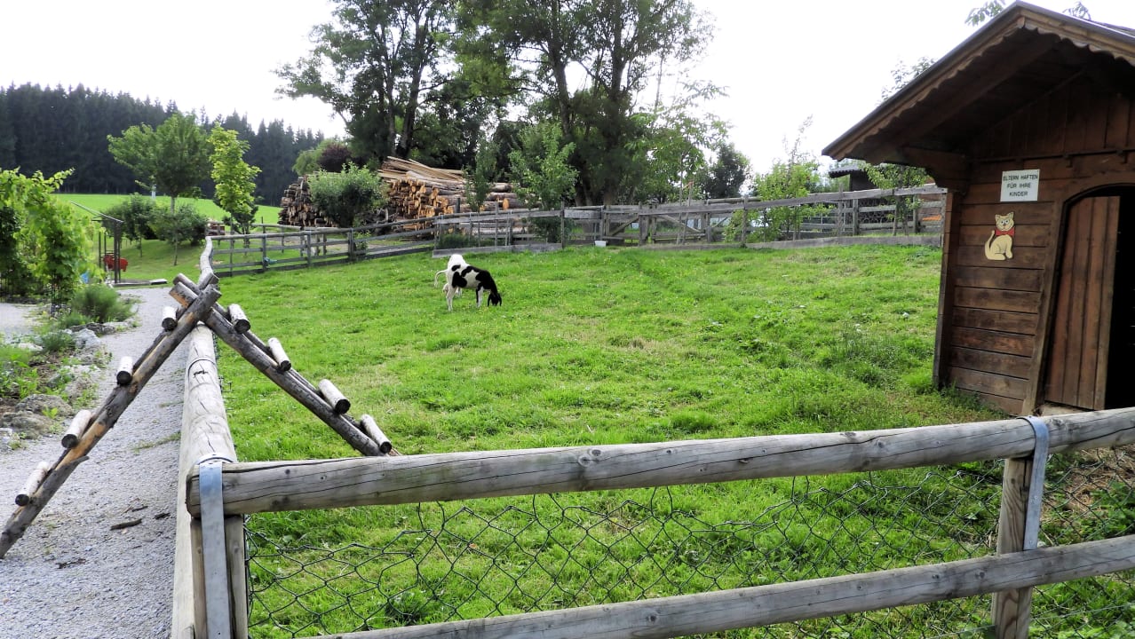 Gartenanlage Hotel Pension Reisslerhof