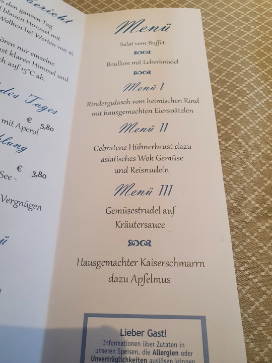 Gastro Hotel Almhof Lackner