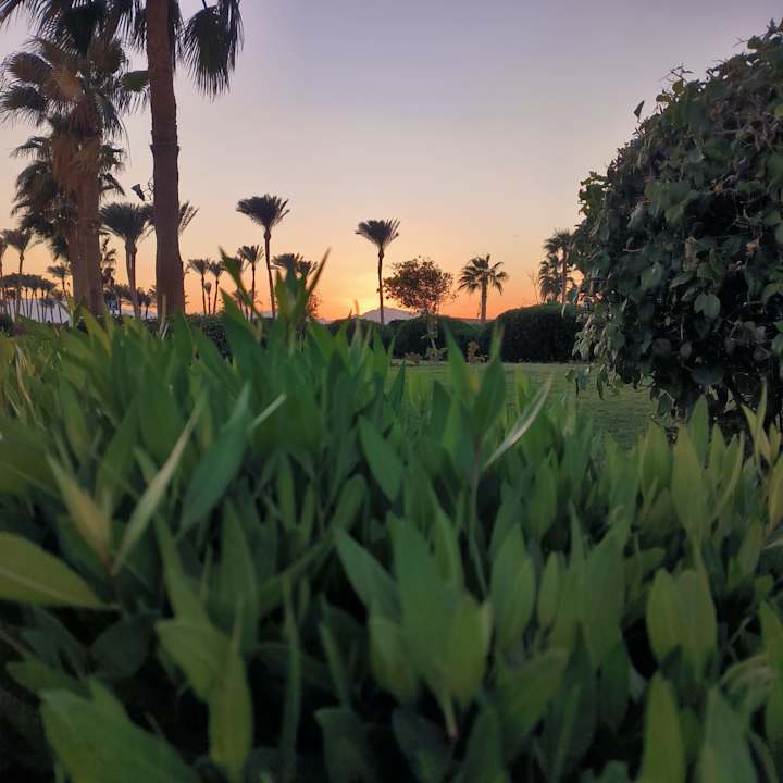 Gartenanlage Cleopatra Luxury Resort Makadi Bay