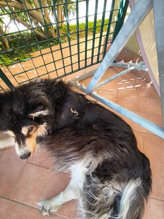 Sonstiges Residence Karina