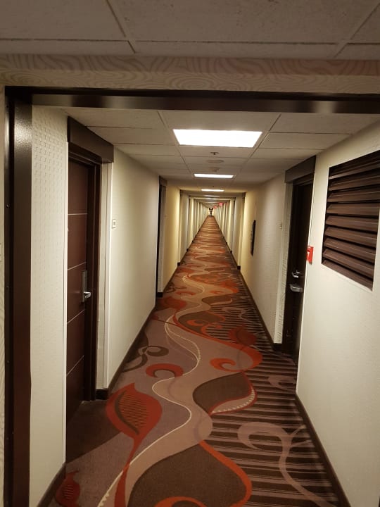 Zimmer Gold Coast