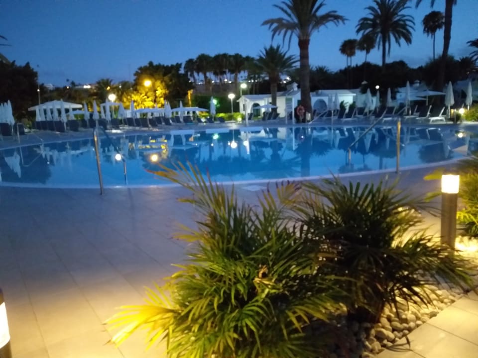 Pool Canary Garden Club