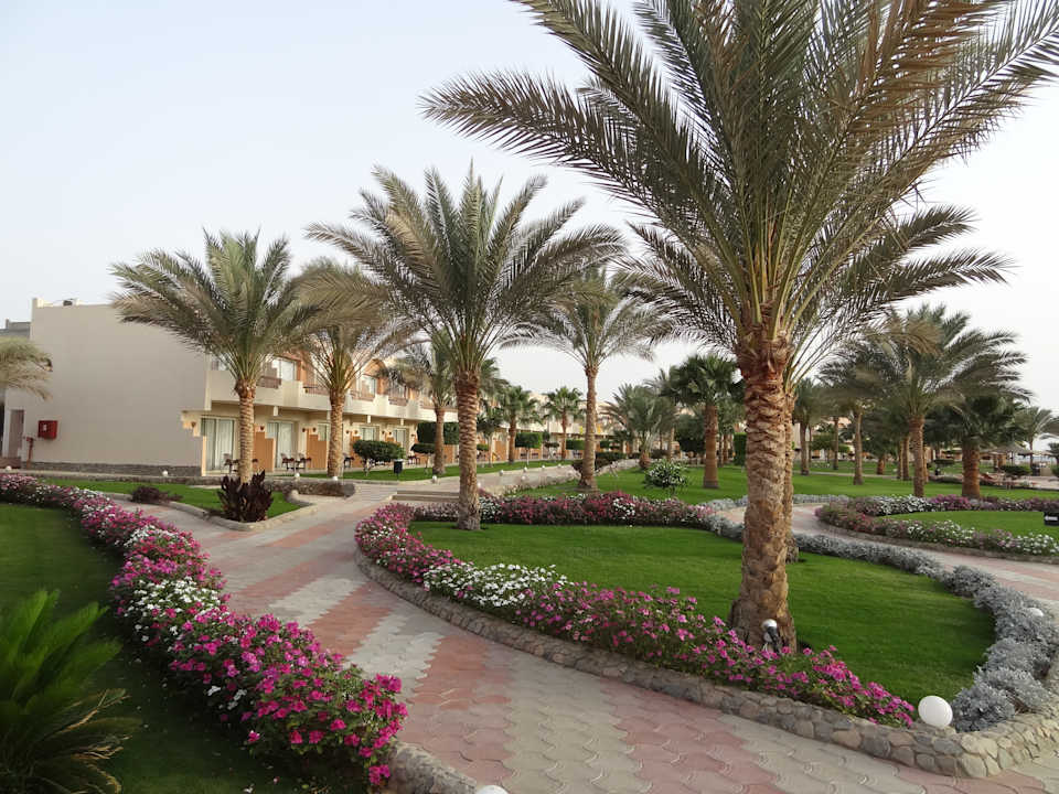 Gartenanlage Three Corners Sea Beach Resort