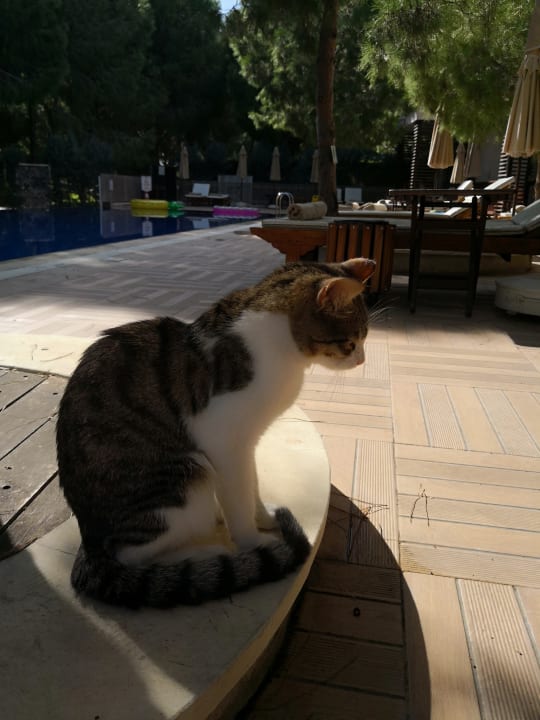 Sonstiges Voyage Belek Golf & Spa