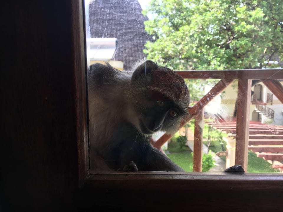 Zimmer Neptune Village Beach Resort & Spa