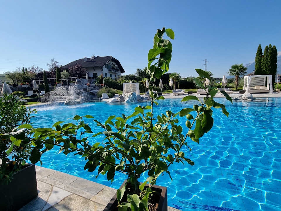 Pool Weinegg Wellviva Resort