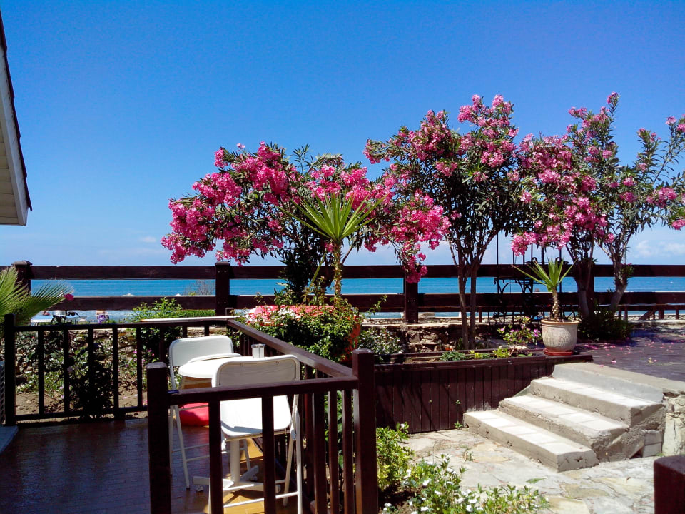 Blick aus der Gartenanlage Richtung Strand Clover Magic Nova Beach