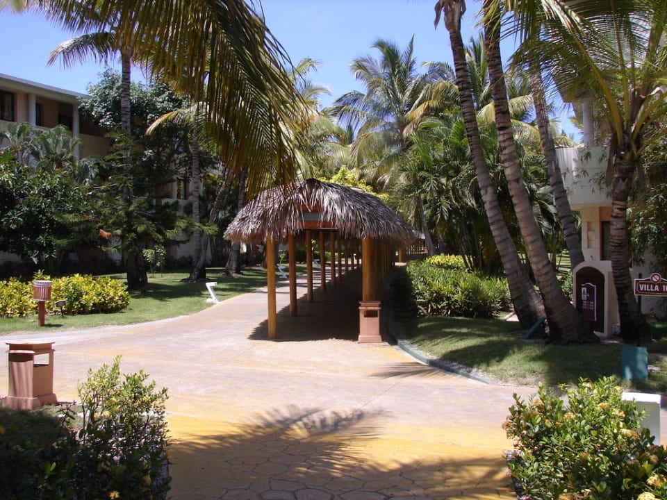 Überdachte Wege Catalonia Punta Cana - All Inclusive