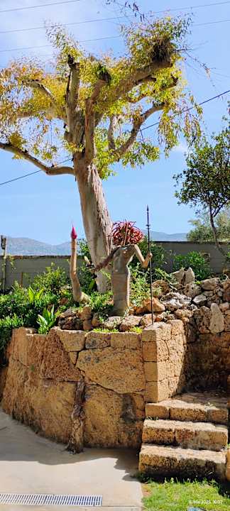 Gartenanlage High Beach Resort