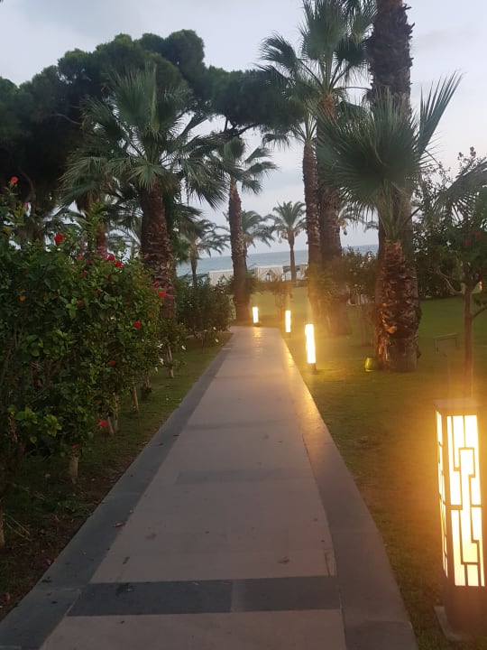 Garten Papillon Ayscha