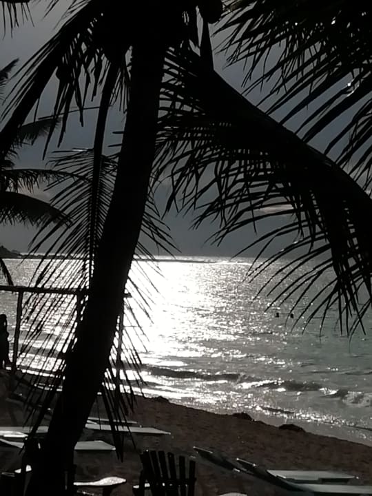 Ausblick Akumal Bay Beach & Wellness Resort