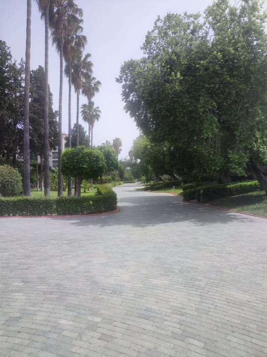 Gartenanlage Horus Paradise Luxury Resort & Club