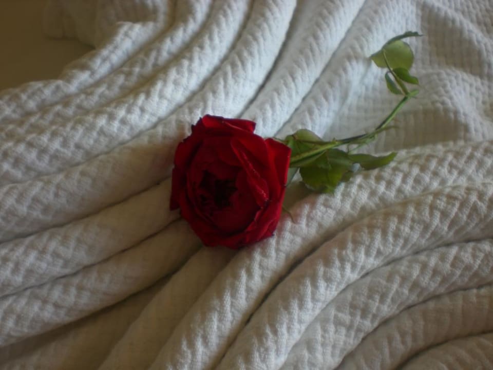 Blume auf Bett Dosi Hotel