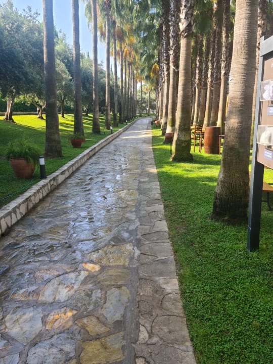 Gartenanlage Miramare Queen Hotel