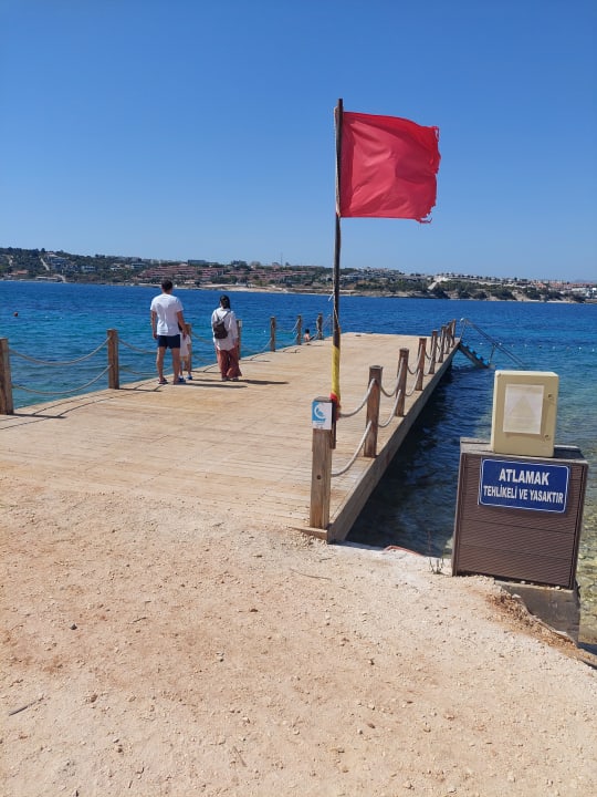 Pool Casa de Playa Luxury Hotel and Beach