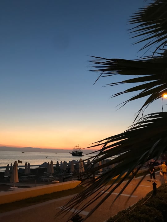 Strand Acanthus Cennet Barut Collection