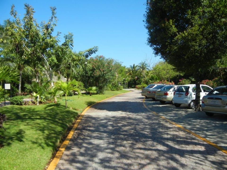 Zufahrtsstraße Viva Maya by Wyndham - All Inclusive Resort
