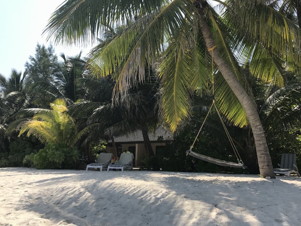 Zimmer Summer Island Maldives