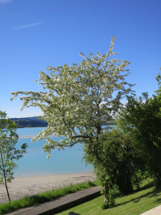 Leider hatten wir nur 1 Tag Sonne Hotel Gasthof am See