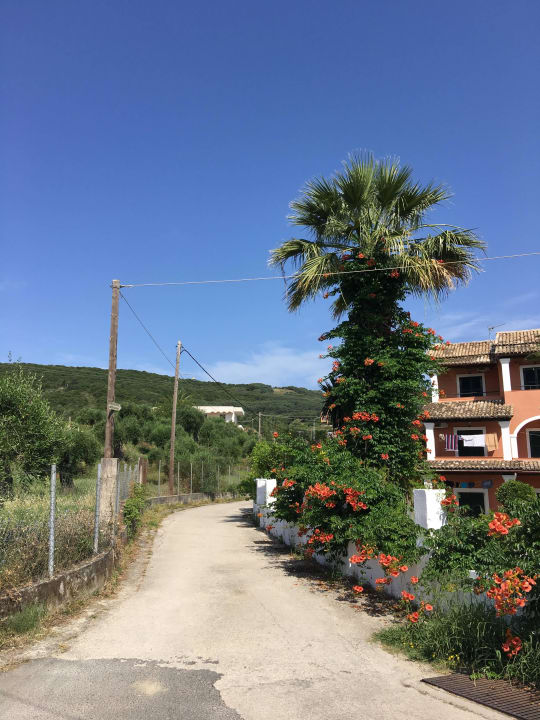 Straße neben dem Hotel SeaBird Hotel