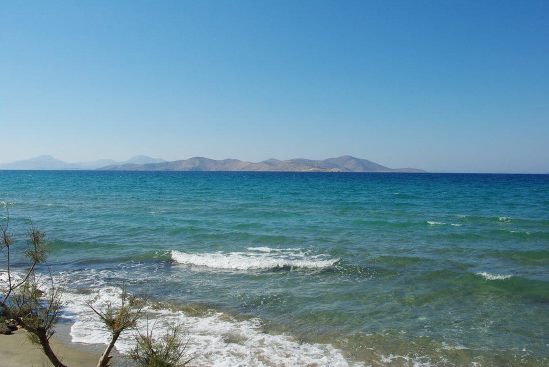 Widok z plaży Hotel Zorbas Beach