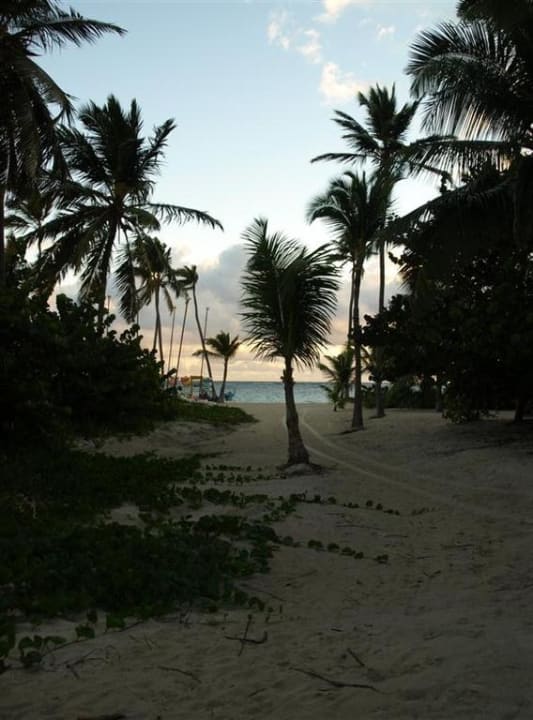 Blick zum Strand Catalonia Royal Bavaro - Adults only