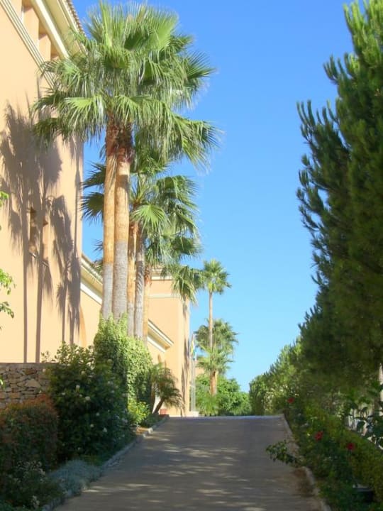 Hotelabfahrt Hipotels Barrosa Garden