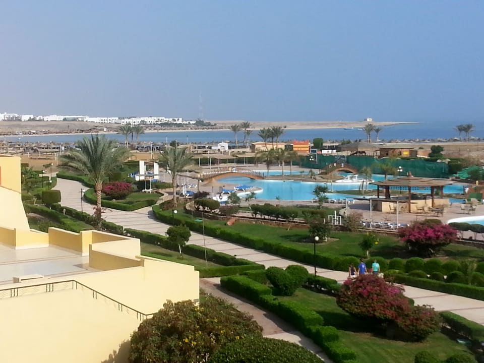 Blick über Pool zum Meer Malikia Resort Abu Dabbab