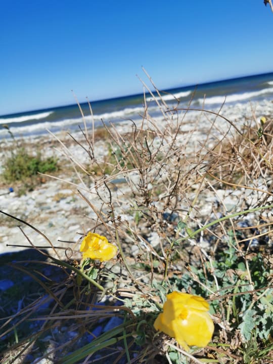 Strand alltoura Club Hotel Poseidon Palace