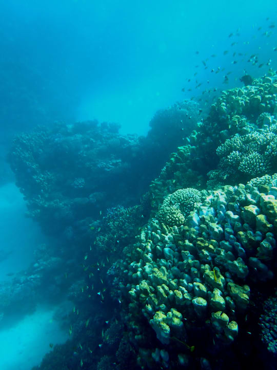 Sport & Freizeit Hotel Gorgonia Beach Resort