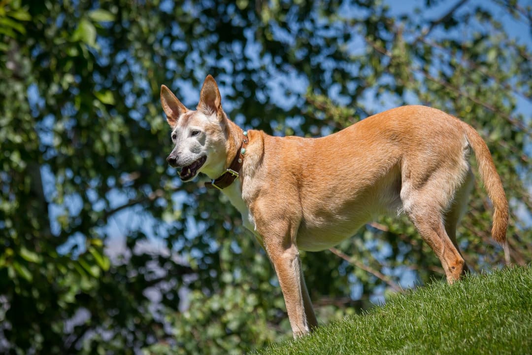 Gartenanlage Hotel Magdalena