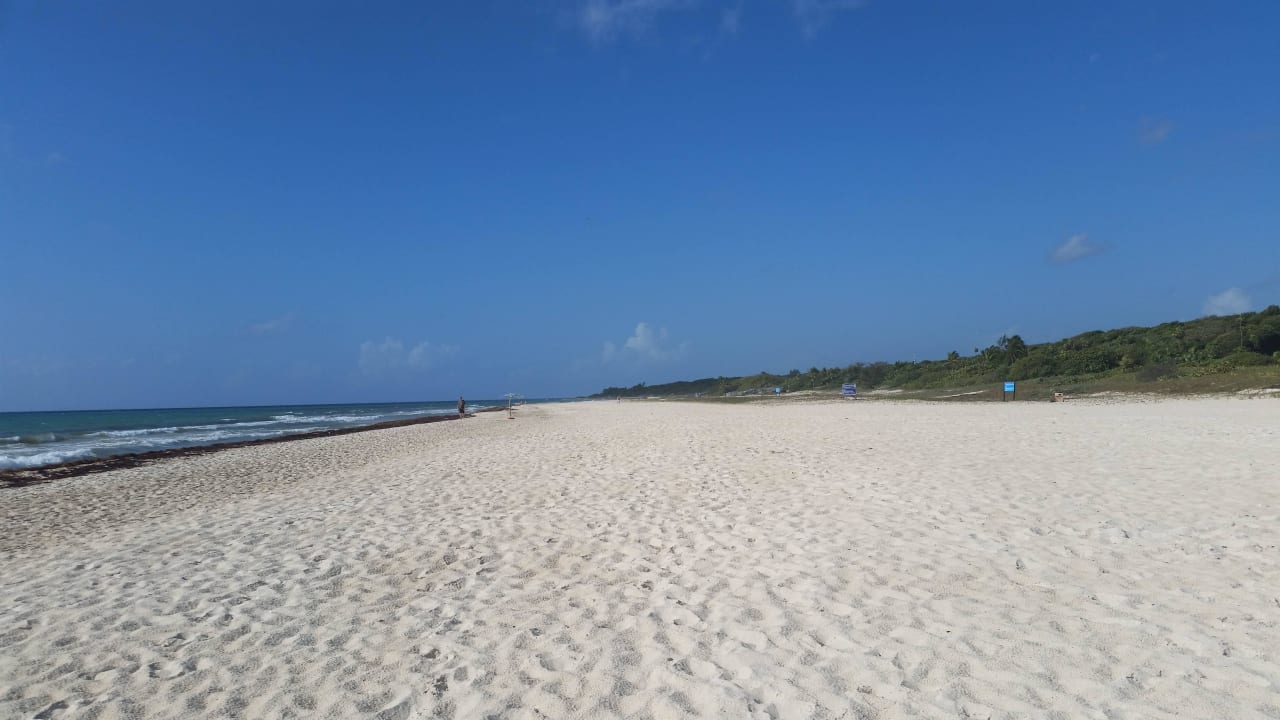 So war der Strand wirklich - einfach super! Sandos Playacar Select Club Adults only - All Inclusive