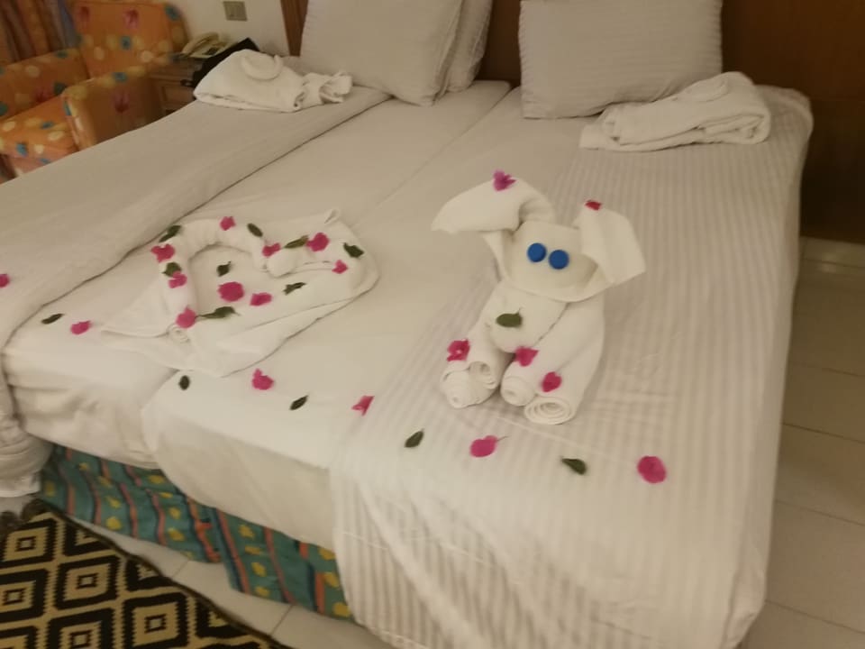 Zimmer MG Alexander The Great Hotel