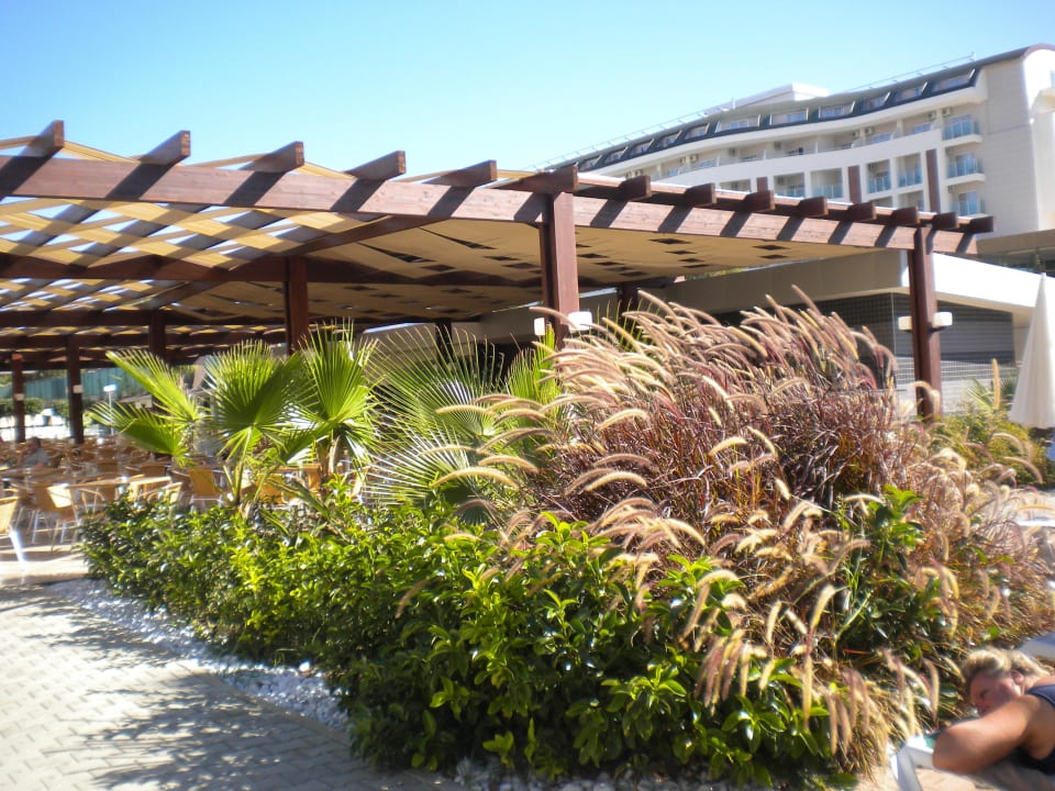 Bluebar Hotel Royal Garden Beach