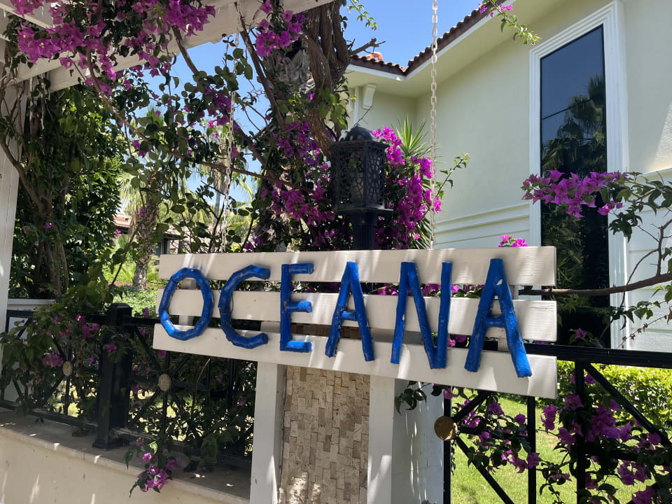 Sonstiges Paloma Oceana
