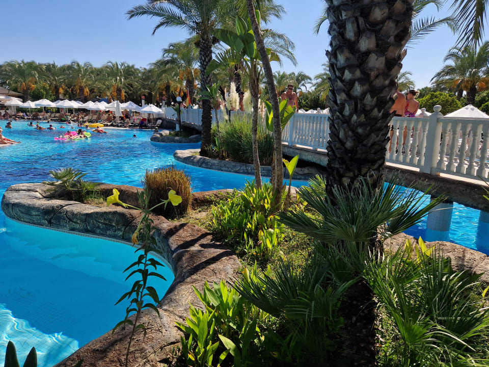 Pool Royal Wings Hotel