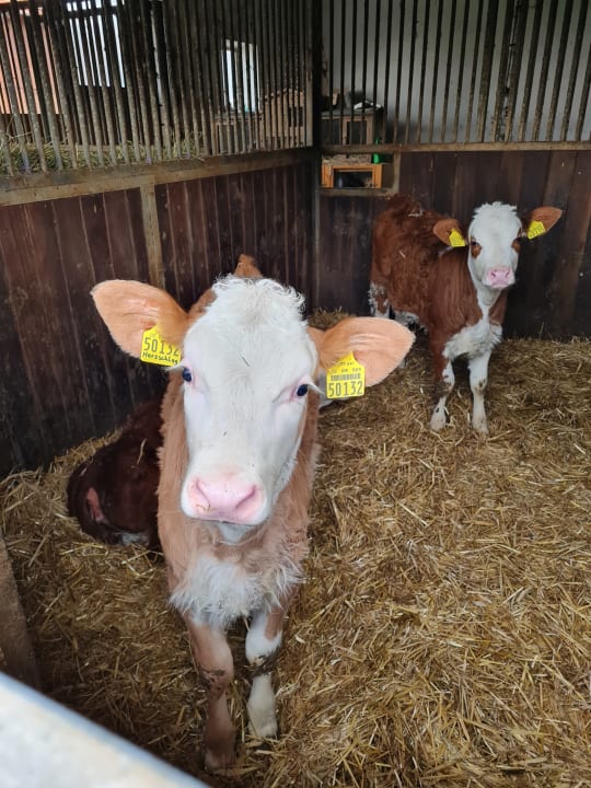 Außenansicht Wofahanslhof