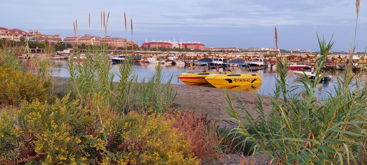 Außenansicht Royal Taj Mahal Hotel