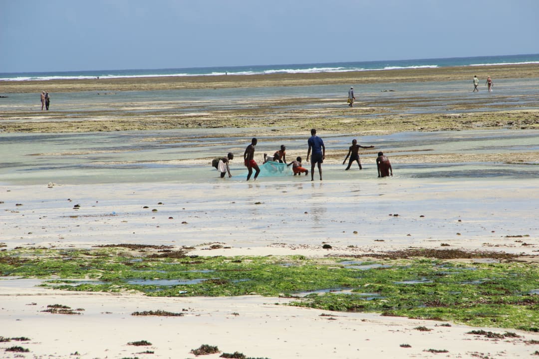 Bei Ebbe Hotel Southern Palms Beach Resort